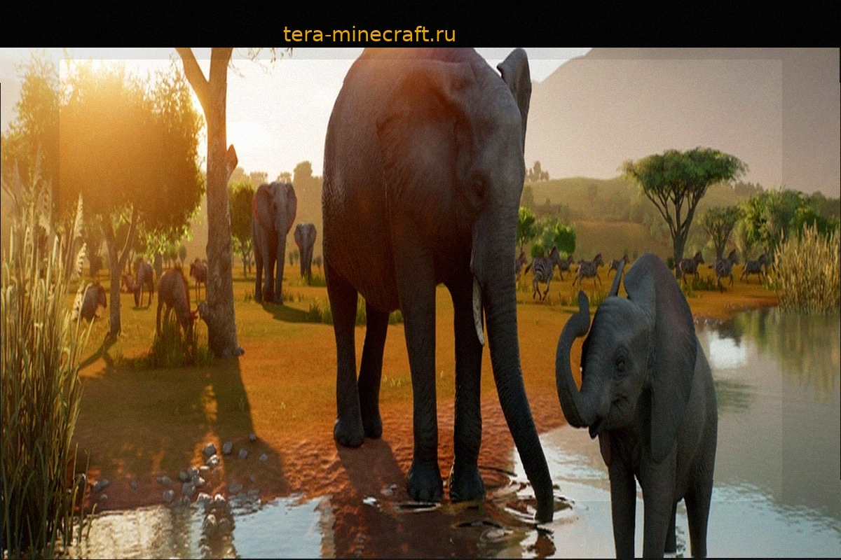 Planet Zoo 2: расширение горизонтов с водными и летающими видами, а также природными заповедниками